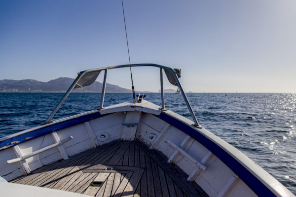 συμμετοχική επιστήμη πλαγκτόν πλαγκτόν βιοποικιλότητα οικοτουρισμός οικοτουρισμός ιστιοφόρο προς ενοικίαση μυτερό παραδοσιακό σκάφος BIP Coco Capitaine Coco Marseille ασυνήθιστες εμπειρίες θαλάσσια ταξίδια