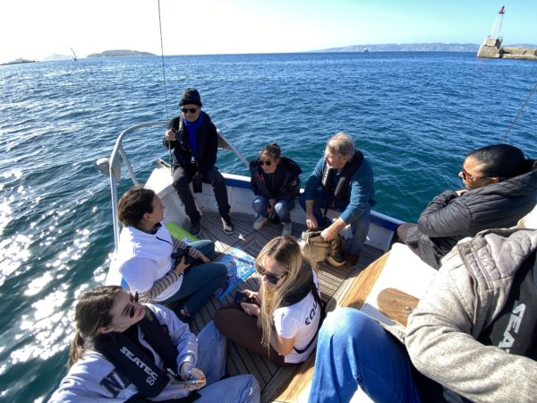 参与式科学浮游生物浮游生物生物多样性生态旅游生态旅游帆船出租尖头传统船 BIP Coco Capitaine Coco Marseille 不寻常的经历海上旅行