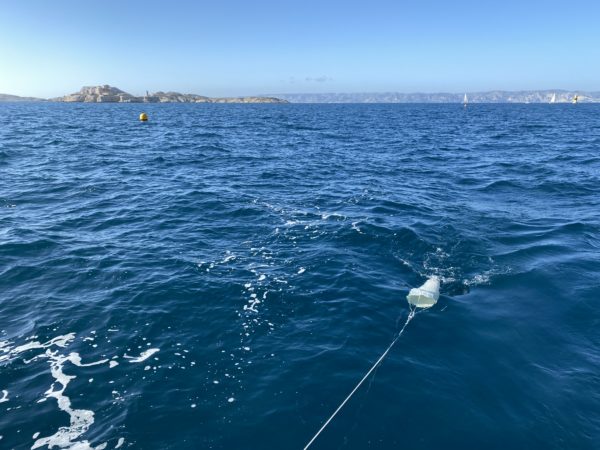 osallistuva tiede plankton plankton biodiversiteetti ekomatkailu ekomatkailu purjevene vuokrattavana terävä perinteinen vene BIP Coco Capitaine Coco Marseille epätavallisia kokemuksia merimatkat