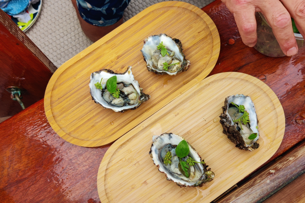 brunch en mer le weekend en bateau traditionnel